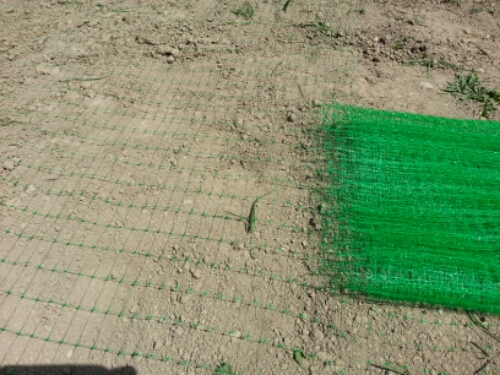 20140706_111938.jpg image