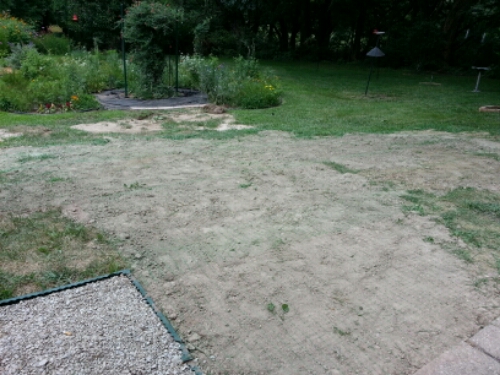 20140706_131424.jpg image