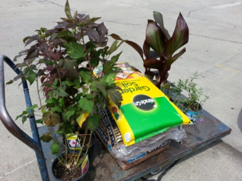 20140706_143019.jpg image