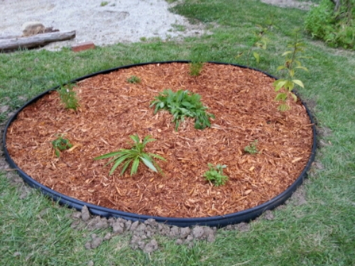 20140706_200239.jpg image