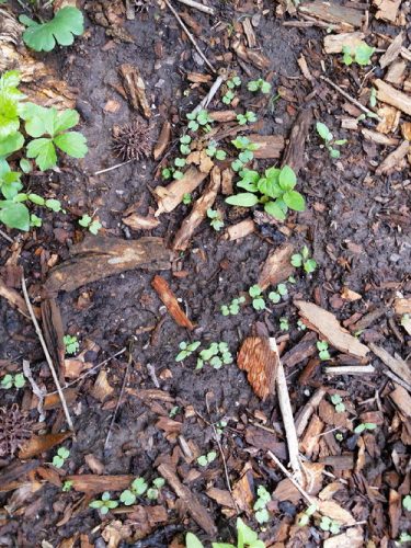 20160501_120446-picsay.jpg