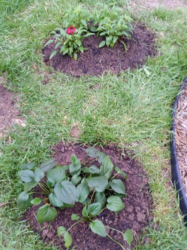 20160503_181214-picsay.jpg