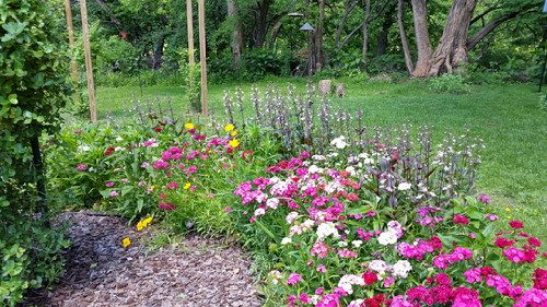 20160515_121213-picsay.jpg