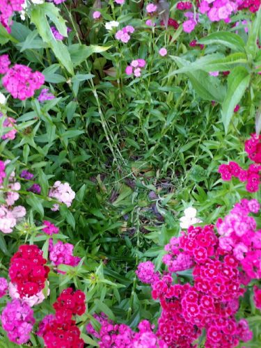 20160520_172524-picsay.jpg