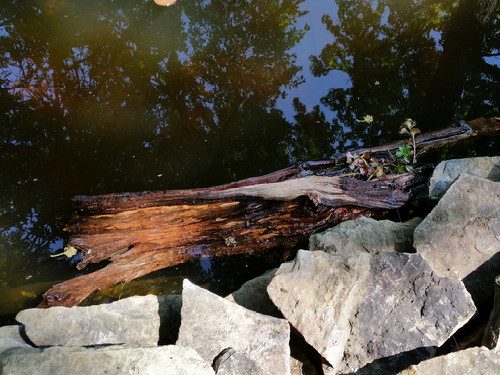 20160522_153857-picsay.jpg