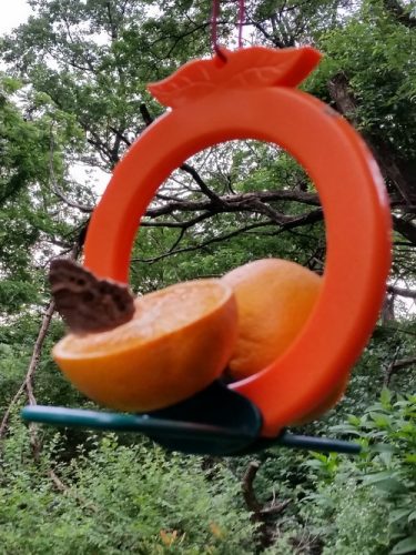 20160602_064129-picsay.jpg
