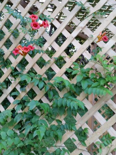 20160615_193315-picsay.jpg
