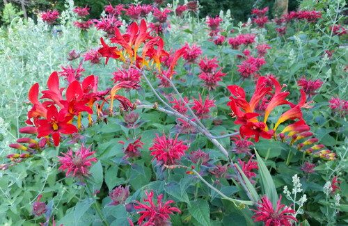 20160620_065101-picsay.jpg