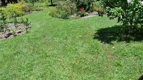 20160716_120517-picsay.jpg