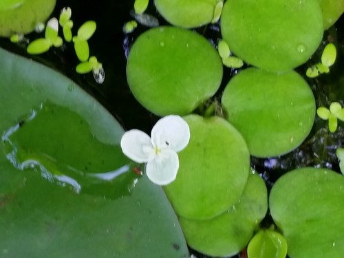20160905_102600-picsay.jpg