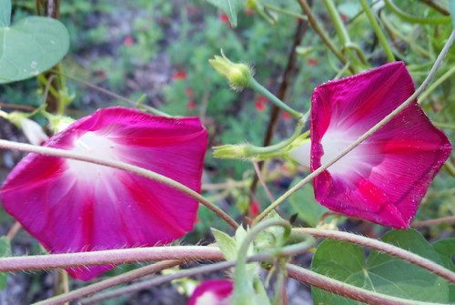 20160911_141230-picsay.jpg
