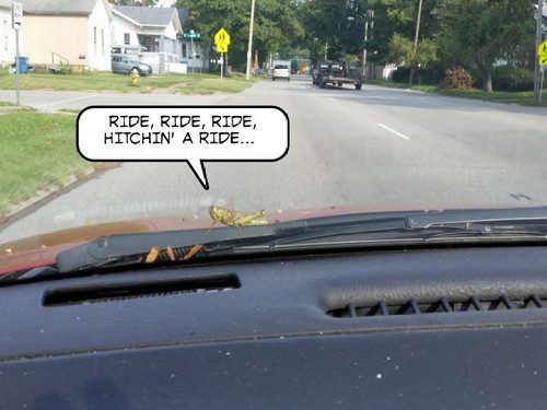20160914_160637-picsay.jpg