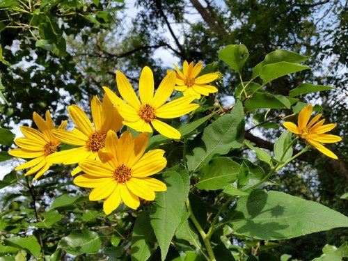 20160918_085232-picsay.jpg