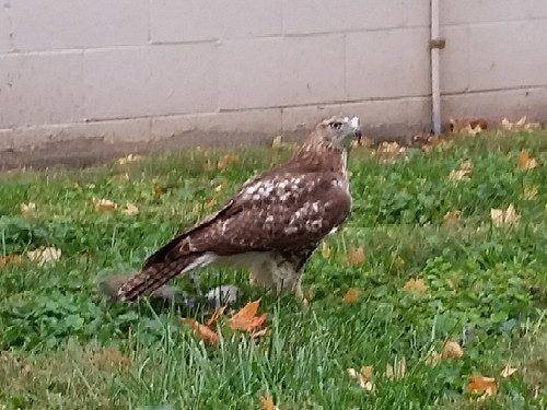 20161014_074804-picsay.jpg