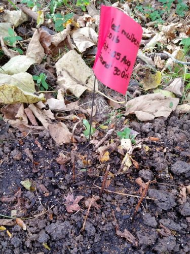 20161030_143443-picsay.jpg