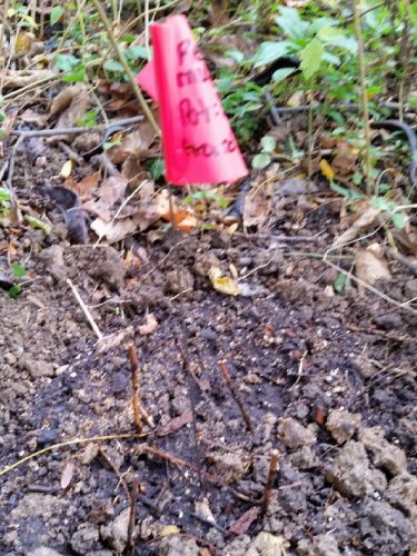 20161030_143456-picsay.jpg